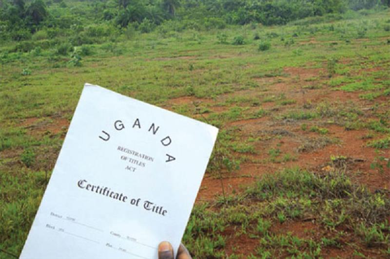 Land title document